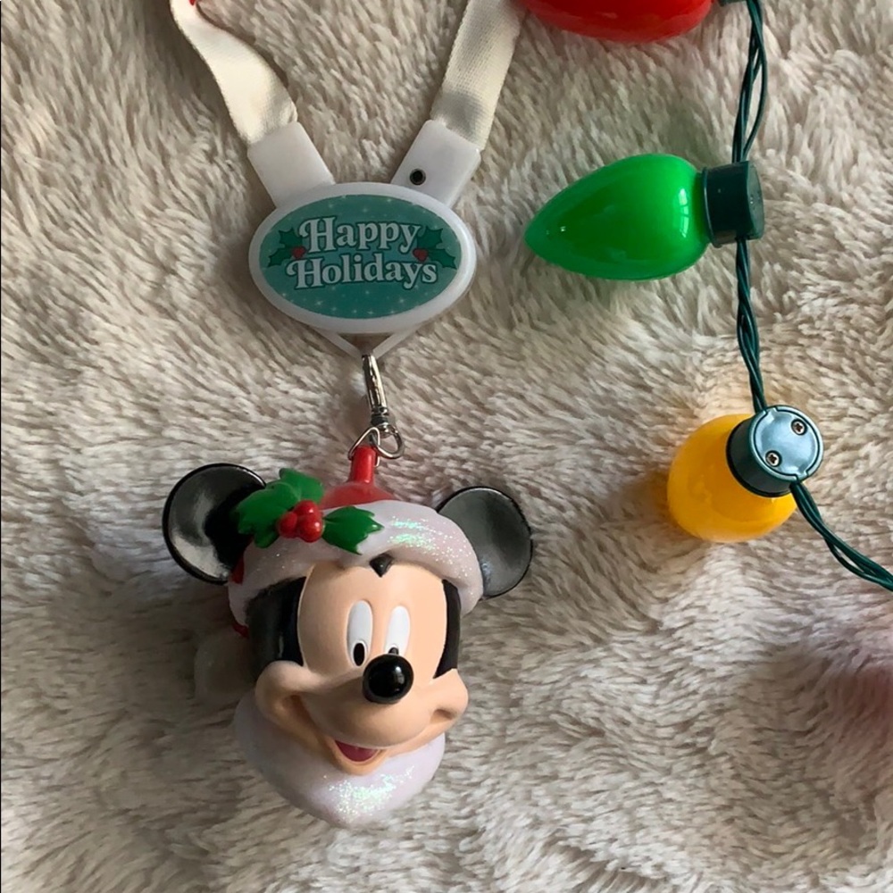 DisneyPark - Picture 3 of 3